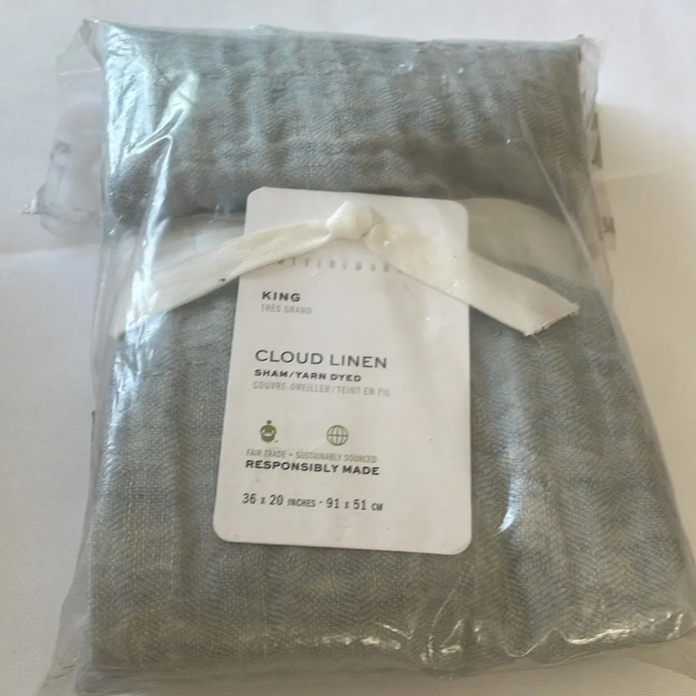 Pottery Barn Cloud King Sham in Chambray #2